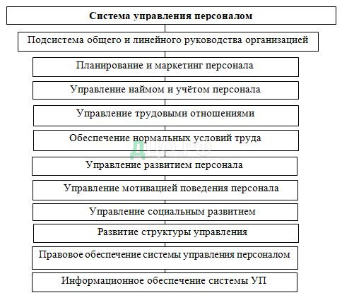 Курсовая работа: Оценка и разработка мероприятий по совершенствованию системы управления персоналом компании на п